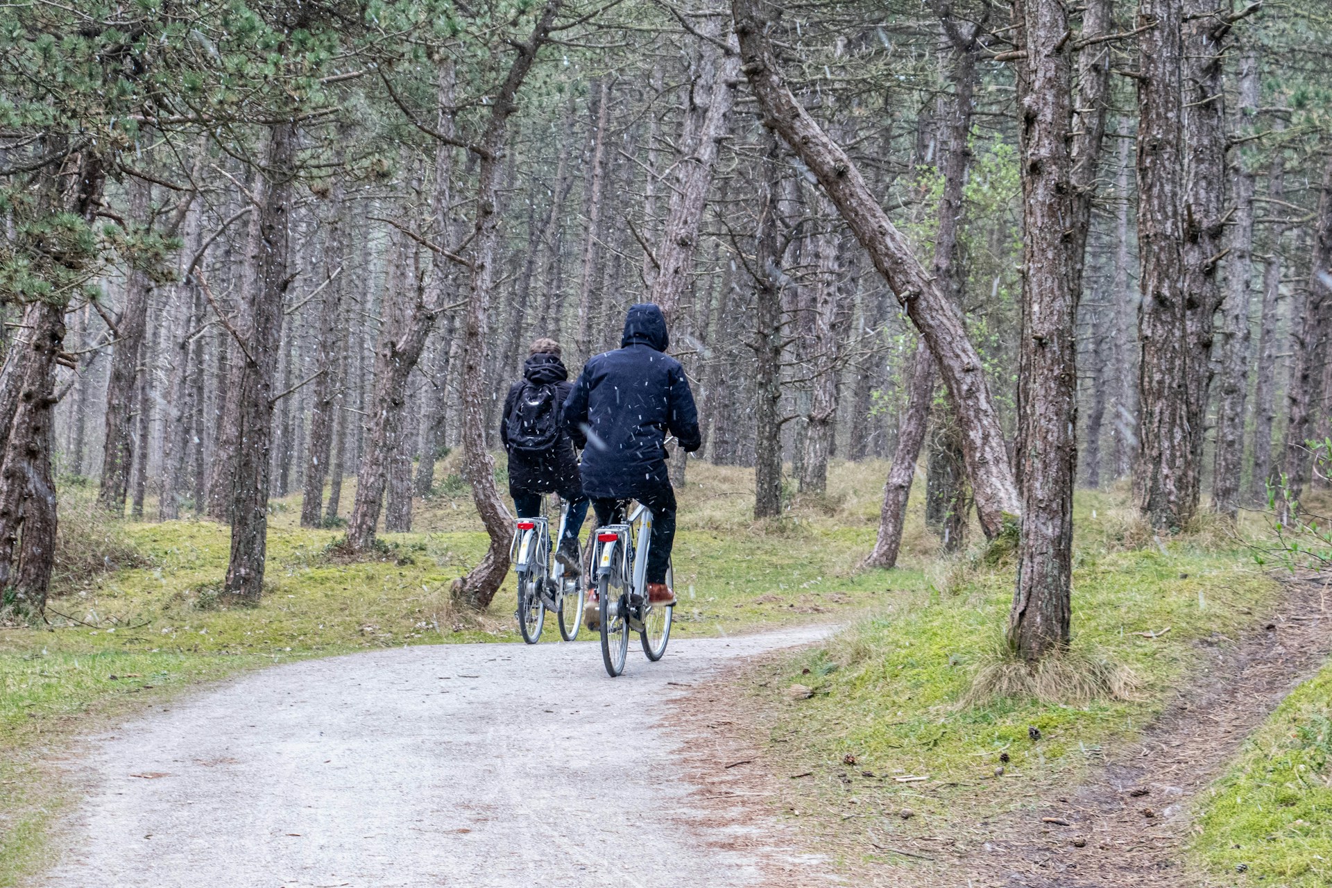 The Best Bike Trails in Sweden for Nature Lovers